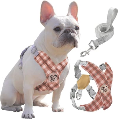 Veilig Hondenharnas met Riem - Anti-Trek X-Vormig Harnas voor Kleine en Middelgrote Honden, Verstelbare Dierenveiligheidsgordel