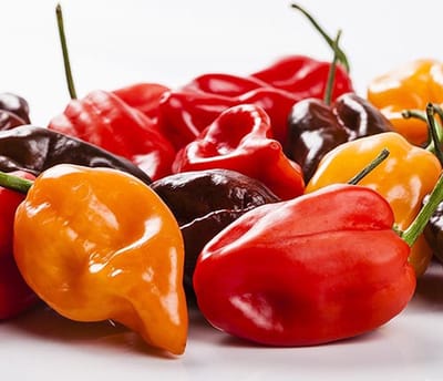 Peper zaden - Habanero gemengde kleuren