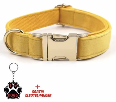 SilverAndCoco® - Gele Honden Halsband met Gratis Sleutelhanger | Velvet Hond Puppy Bandje | Hondenhalsband Suède Gouden | Kleding Decoratie | Hondenbandje Huisdier - Geel / Goud