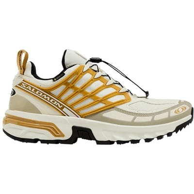 Salomon ACS Pro GORE-TEX 'Icicle Antelope' 44