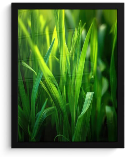 Poster in lijst - Fotolijst 30x40 cm - Posters - Grassprieten - Lichtinval - Groen - Posterlijst zwart - Decoratie - Wanddecoratie woonkamer - Muurdecoratie slaapkamer