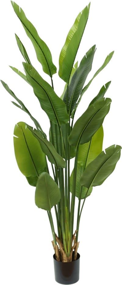 Strelitzia Kunstplant 180cm | Kunst Strelitzia | Kunstplanten voor Binnen | Grote Strelitzia Kunstplant | Nepplant | Strelitzia kunstplanten | Strelitzia Nicolai kunstplant