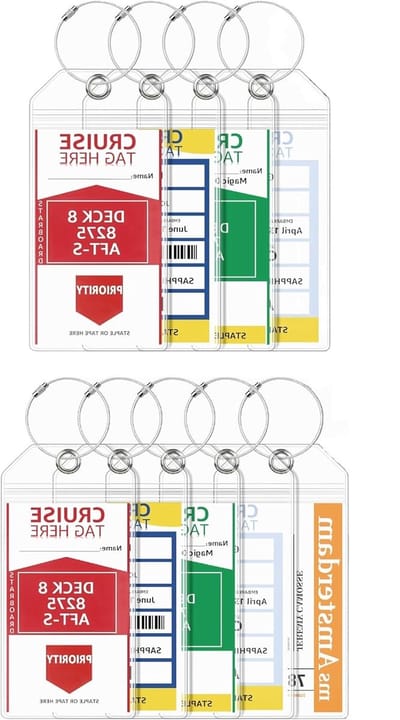 XXL Kofferhanger voor Cruises, Robuuste en Waterdichte PVC Bagagetag met 6 Schroefbare Metalen Bevestigingen, Ideaal voor Aida en TUI My Ship, 19 x 11 cm