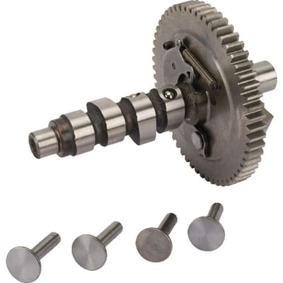 Briggs & stratton nokkenas