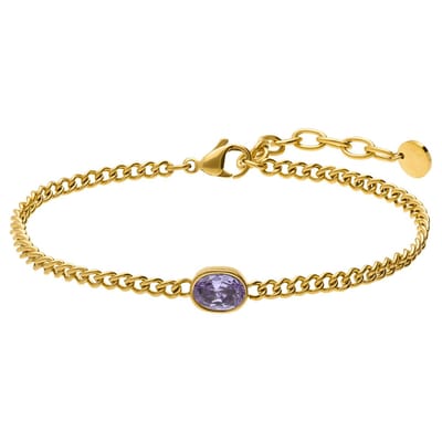Lucardi - Dames Stainless steel armband met geboortesteen zirkonia voor dames - Armband - Staal - Goudkleurig - 20 cm