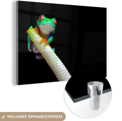 MuchoWow® Glasschilderij 120x80 cm - Schilderij acrylglas - Kikker - Dieren - Plant - Foto op glas - Schilderijen