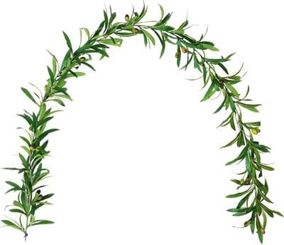 Natuurlijke Olijfblad Nepplant, 1.85m Hangende Plant voor Bruiloft Decoratie en Interieurstyling