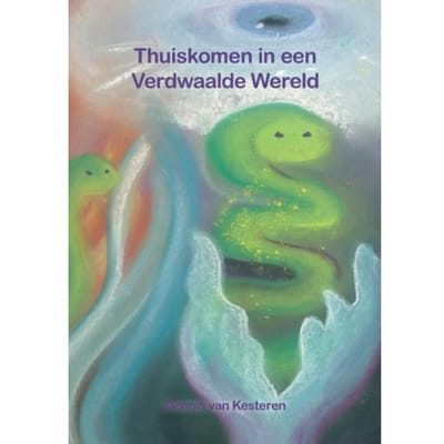 Thuiskomen In Een Verdwaalde Wereld - Dennis van Kesteren