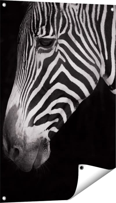 Gards Tuinposter Zebra Kop vanaf de Zijkant - Zwart Wit - 60x90 cm - Tuindoek - Tuindecoratie - Wanddecoratie buiten - Tuinschilderij