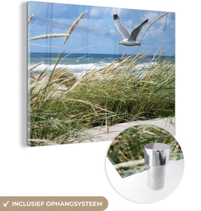 MuchoWow® Glasschilderij 160x120 cm - Schilderij acrylglas - Strand - Vogel - Planten - Foto op glas - Muurdecoratie woonkamer - Wanddecoratie slaapkamer - Schilderijen