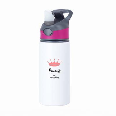 Hacebo® - princess of everything waterfles met rietje roze - Princess - iemand die zich voelt als een princess - verjaardag - cadeau - kado - geschenk - water fles - 650ML