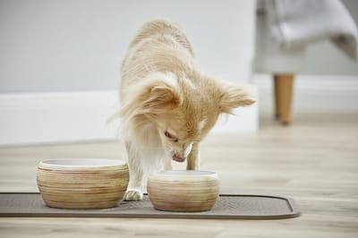 Wolters Diner Stone Bowl Bruin - Hondenvoerbak - Ø18.5 cm