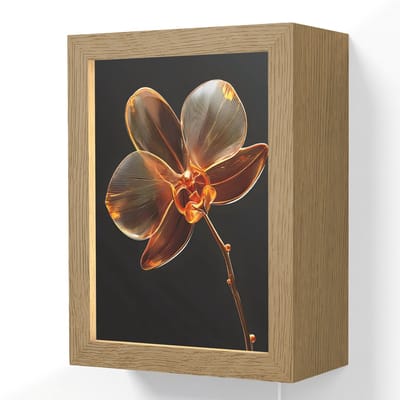 Wandlamp 15x20 cm - Oplaadbaar - Orchidee - Doorzichtig - Bloem - Wandlampen binnen woonkamer - Slaapkamer lamp met kabel - Decoratieve nachtlamp - Vloerlamp snoer