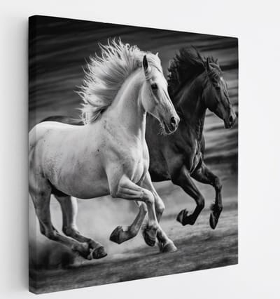 Saammp Canvas Schilderij - 2 paarden - Zwart - Wit- Dieren - Natuur - 20x20 - Foto op canvas - Wanddecoratie - muurdecoratie Woonkamer - Slaapkamer decoratie - Canvas Print