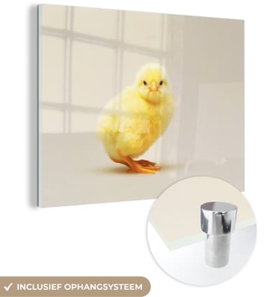 ® Glasschilderij 160x120 cm - Schilderij acrylglas - Een beeldig geel kuikentje - Foto op glas - Muurdecoratie woonkamer - Wanddecoratie slaapkamer - Schilderijen