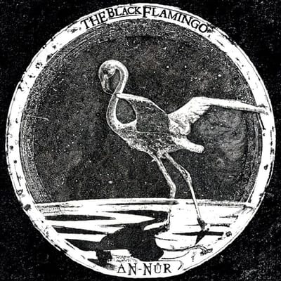 Black Flamingo - An-Nur (LP)