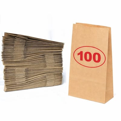 Dailygoods- Papieren Zakken 100 Stuks - Bruin Kraft - Voedselzakken - Cadeauzakjes - Popcornzakken - Boterhamzakjes 16x9x5 cm