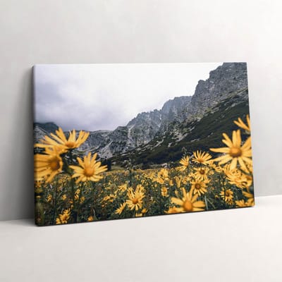 Wallfluent Foto Op Canvas Weidebloemen in het Tatragebergte - 60 x 40 cm - Geel Schilderij Canvas - Landschappen Canvas Foto - Natuur Print Op Doek - Landschappen Schilderijen Op Canvas Doek