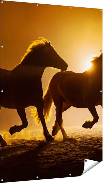 Gards Tuinposter Silhouet van Twee Paarden - 120x180 cm - Tuindoek - Tuindecoratie - Wanddecoratie buiten - Tuinschilderij