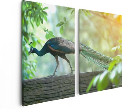 Artaza Canvas Schilderij Tweeluik Pauw Loopt Op Een Tak In De Natuur - 80x60 - Foto Op Canvas - Canvas Print