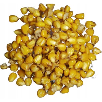 TTCarp - Klaargemaakte Maïs - 1kg - Vacuümverpakt - Voor Karper- en Amurvissen