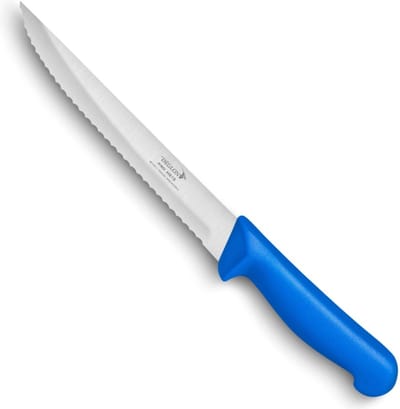 Déglon Gekarteld fileermes – 21 cm – ergonomisch – HACCP-conform – vaatwasbestendig