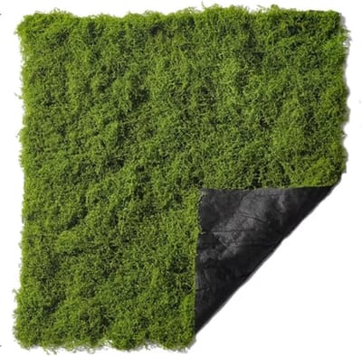 Kunstgras - Grasmat - Grastapijt - Kunstmosmat - Kunstgras voor Buiten - 50 x 50 cm - Groene Mosplaat voor Knutselwerk, Bosthema Decoratie, Tuinfeesten, Wanddecoratie en Doe-het-zelfprojecten - Donkergroen