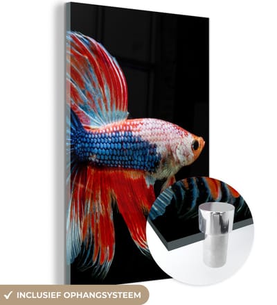 MuchoWow® Glasschilderij 120x180 cm - Schilderij acrylglas - Vis - Zeedier - Staart - Blauw - Foto op glas - Schilderijen