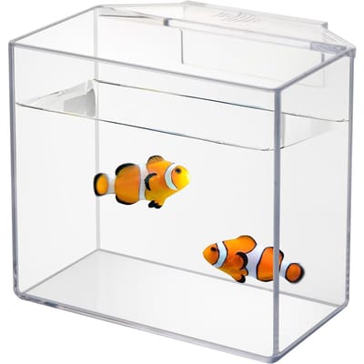 Contenant d'acclimatation par goutte-à-goutte Pour Poissons Coraux – Boîte d'acclimatation suspendue Pour Aquariums d'eau salée d'eau douce Petit