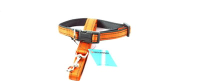 Honden Halsband met uitlaatriem -Oranje - Hondentuig met reflector - Wandelen - Uitlaten - Medium honden - Uitlaatriem 100 cm - Halsband 33 - 50 cm