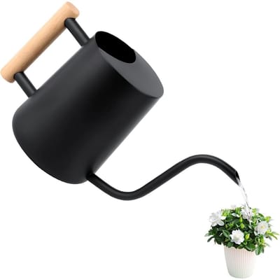 EXCITAT Gieter - Gieter voor binnen - Gieter van roestvrij staal - Geschikt voor balkon, binnen, kantoor, bonsai, kleine planten - 1L