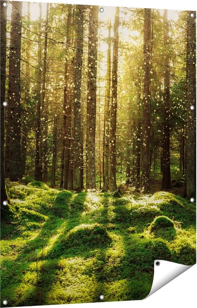 Gards Tuinposter Bos met Groen Mos op de Grond - 90x120 cm - Tuindoek - Tuindecoratie - Wanddecoratie buiten - Tuinschilderij