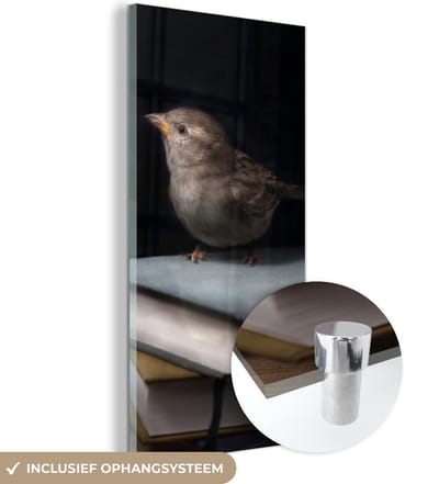 MuchoWow® Glasschilderij 20x40 cm - Schilderij acrylglas - Vogel - Boeken - Portret - Foto op glas - Schilderijen