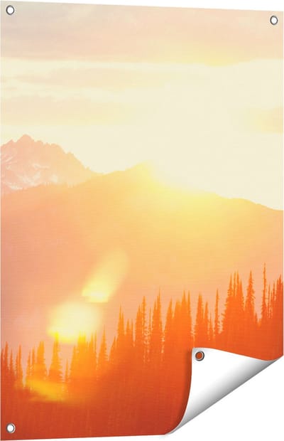 Gards Tuinposter Zonsondergang in het Bos - 60x80 cm - Tuindoek - Tuindecoratie - Wanddecoratie buiten - Tuinschilderij
