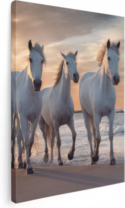 Artaza Canvas Schilderij Paarden Zee - 30x40 cm - Klein - Wanddecoratie Strand - Muurdecoratie Woonkamer - Kamer Accessoires Dieren