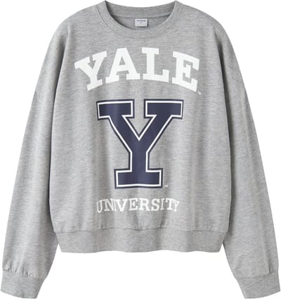 NAME IT - TAFT COLLEGE LO SHO SWE BRU BOX NOOS SKY - Dames - Sweaters