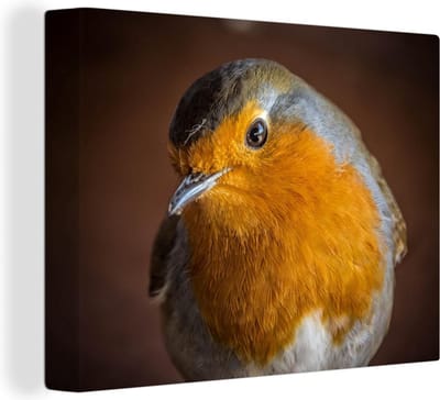 Canvas schilderij 160x120 cm - Wanddecoratie Roodborstje - Portret - Vogel - Muurdecoratie woonkamer - Slaapkamer decoratie - Kamer accessoires - Schilderijen