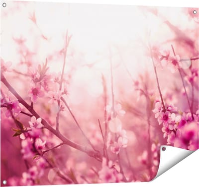 Gards Tuinposter Roze Bloesemboom met Zonneschijn - 100x80 cm - Tuindoek - Tuindecoratie - Wanddecoratie buiten - Tuinschilderij