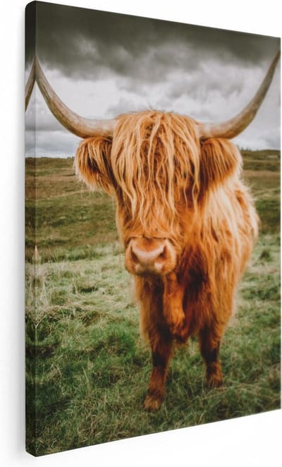 Artaza Canvas Schilderij Hooglander - 30x40 cm - Klein - Wanddecoratie Natuur - Muurdecoratie Landschap - Kamer Accessoires