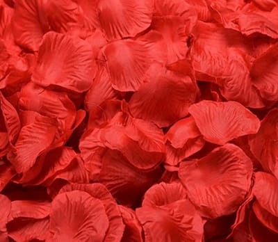 Knaak Rode Rozenblaadjes - Set van 1000 Stuks - Romantische en Feestelijke Decoratie