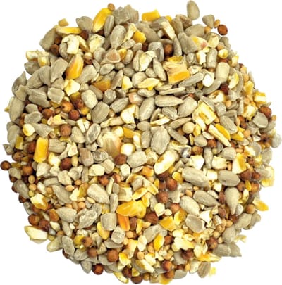 High Energy & No Mess Strooivoer - Vogelvoer - Onkruidvrij Strooivoer - 10kg