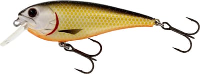 Westin RawBite Crankbait - Low Floating - Official Roach - 11cm - 26g - Plug - Geel