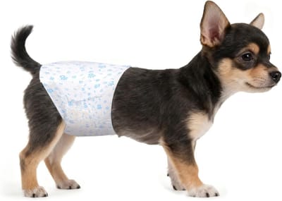 Verwisselbare Wegwerp Hondenluier, 20 Stuks voor Mannelijke Honden, Super Absorberend en Zacht, Ideaal voor Periodes en Ongemak