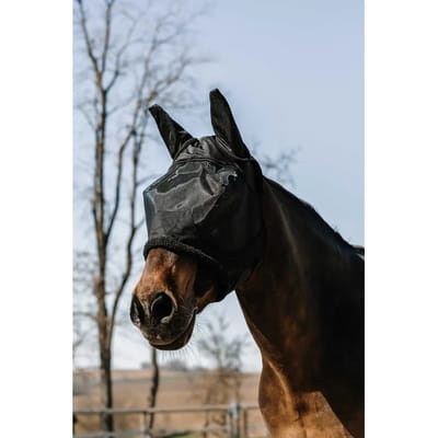 Anti-vliegenmasker voor paarden Equithème Teddy