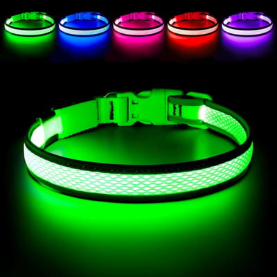 LED Hondenband - Oplaadbare Verstelbare Lichtband voor Honden - Veiligheid en Zichtbaarheid in het Donker - Voor Kleine, Middelgrote en Grote Honden - Licht Halsband - Zoet Groen - Maat L (55-60cm) - 1 Stuk