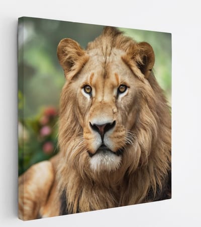 Saammp Canvas Schilderij - Leeuw tussen de bloemen - Dieren - Natuur - 20x20 - Foto op canvas - Wanddecoratie - Muurdecoratie Woonkamer - Slaapkamer decoratie - Canvas Print