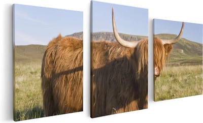 Artaza Canvas Schilderij Drieluik Schotse Hooglander Koe - Kleur - 120x60 - Foto Op Canvas - Canvas Print