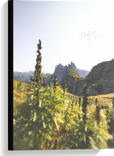 Canvas  - Rotsen met Begroeiing  - 40x60cm Foto op Canvas Schilderij (Wanddecoratie op Canvas)