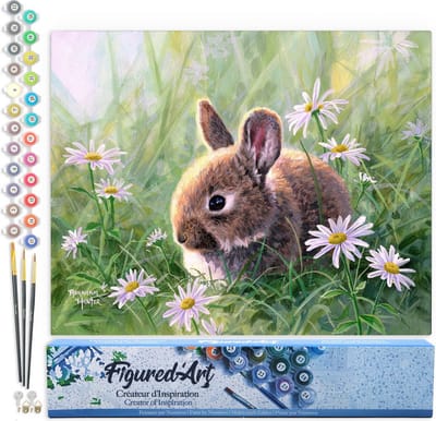 Figured'Art Schilderen op Nummer Volwassenen canvas Konijn en margrieten - Handwerk acrylverf Kit DIY Compleet - 40x50cm zonder frame