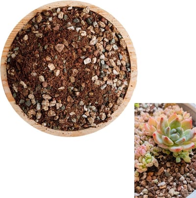 Lavasteen Potgrond Mix - Drainage Substraat - Planten Verzorgen - Natuurlijke Ademende Bodem - 900 gram - Gekleurd